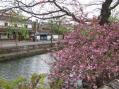 2012-0422_bikanchiku04.jpg