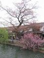 2012-0422_bikanchiku05.jpg