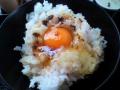 2012-0504_kamechi03.jpg
