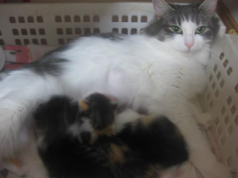 IMG_1751_20130525170039.jpg
