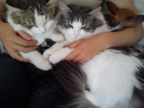 IMG_20120721_121047.jpg
