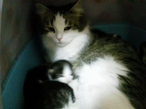 NEC_0044_20130530213810.jpg