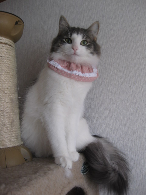 rinn_20130717194006.jpg