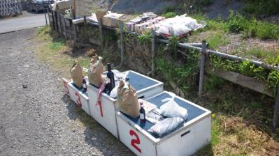 ヤナガ2013 080