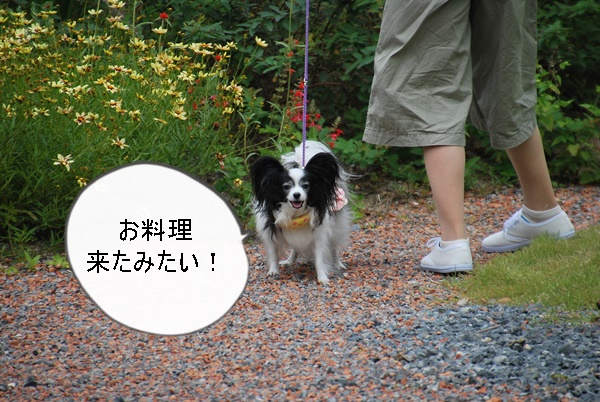 お料理できた?