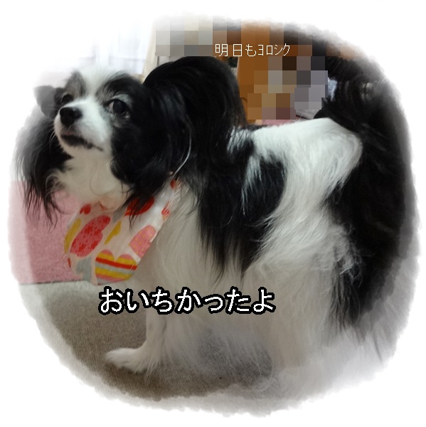 おいしかったぁ