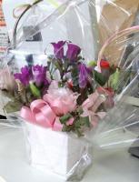 flower.jpg