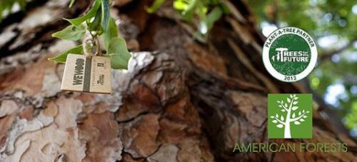 banner_slide3-533x242_20130204152510.jpg