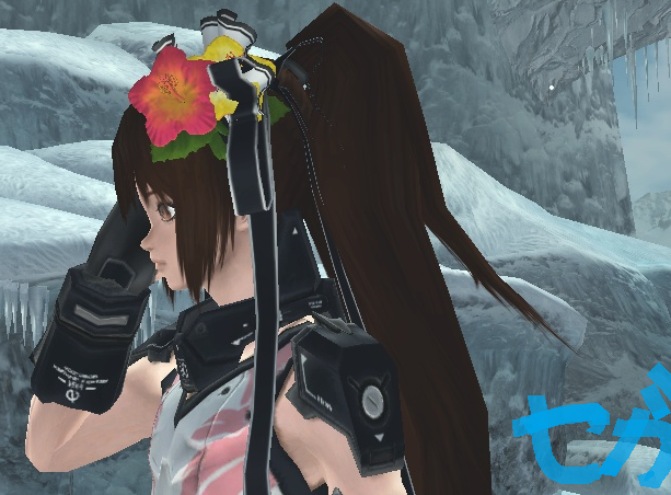 dd.png