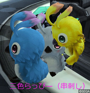 4/25らっぴーに串刺し!