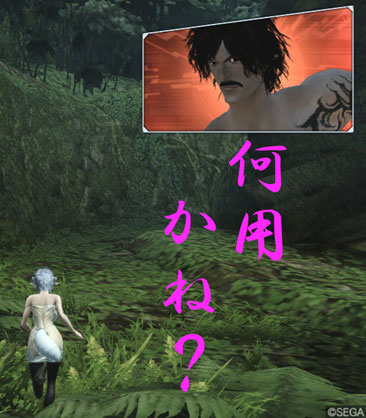 4/28偽DoDo