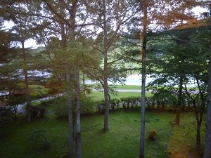 P1020309.jpg