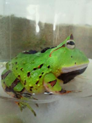 2012041023560000 (1)