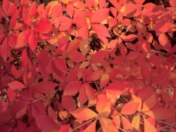 2013-11-27 2013-11-27 001 002 (800x600)