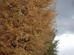 2013-11-28 2013-11-28 001 002 (800x600)