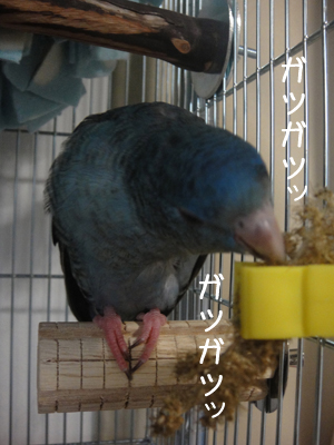 うま〜〜〜!!!!! うま〜〜〜!!!!!