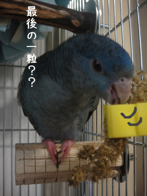 ココが一番食べにくいんだよね〜 ココが一番食べにくいんだよね〜