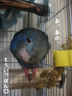 エヘっ☆ エヘっ☆