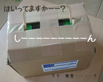 もしもーーし? もしもーーし?