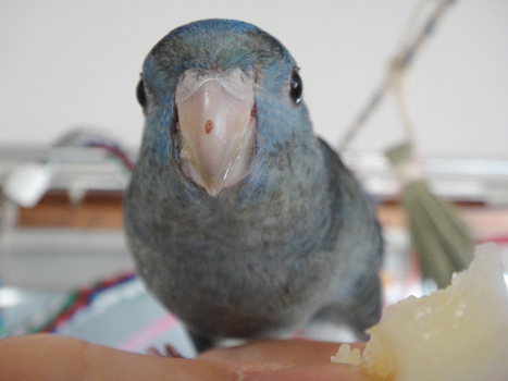 フフ〜ン♪♪ フフ〜ン♪♪