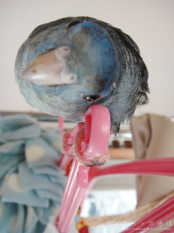ん?? ん??