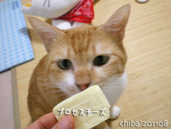 chiba11-8-153.jpg