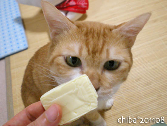 chiba11-8-154.jpg