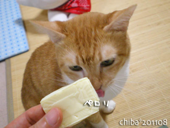 chiba11-8-155.jpg