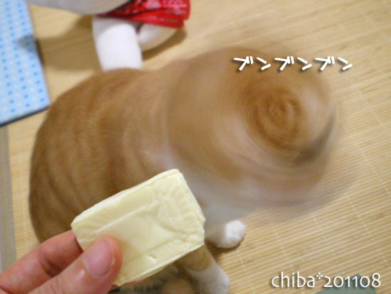 chiba11-8-156.jpg