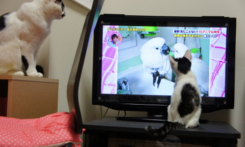 0001DSC00145.jpg