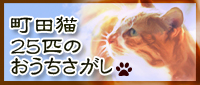 0町田猫バナー