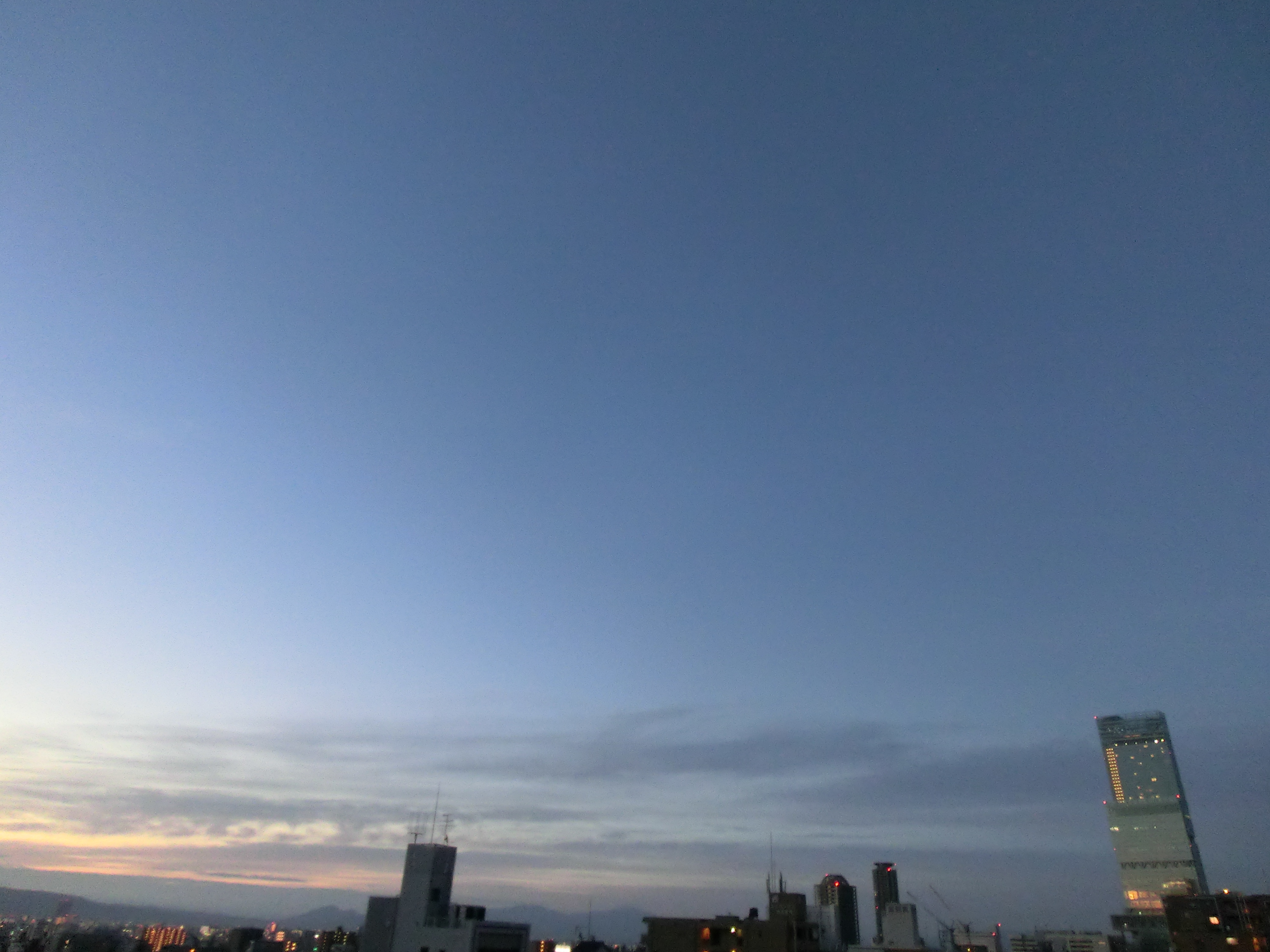 CIMG0238.jpg