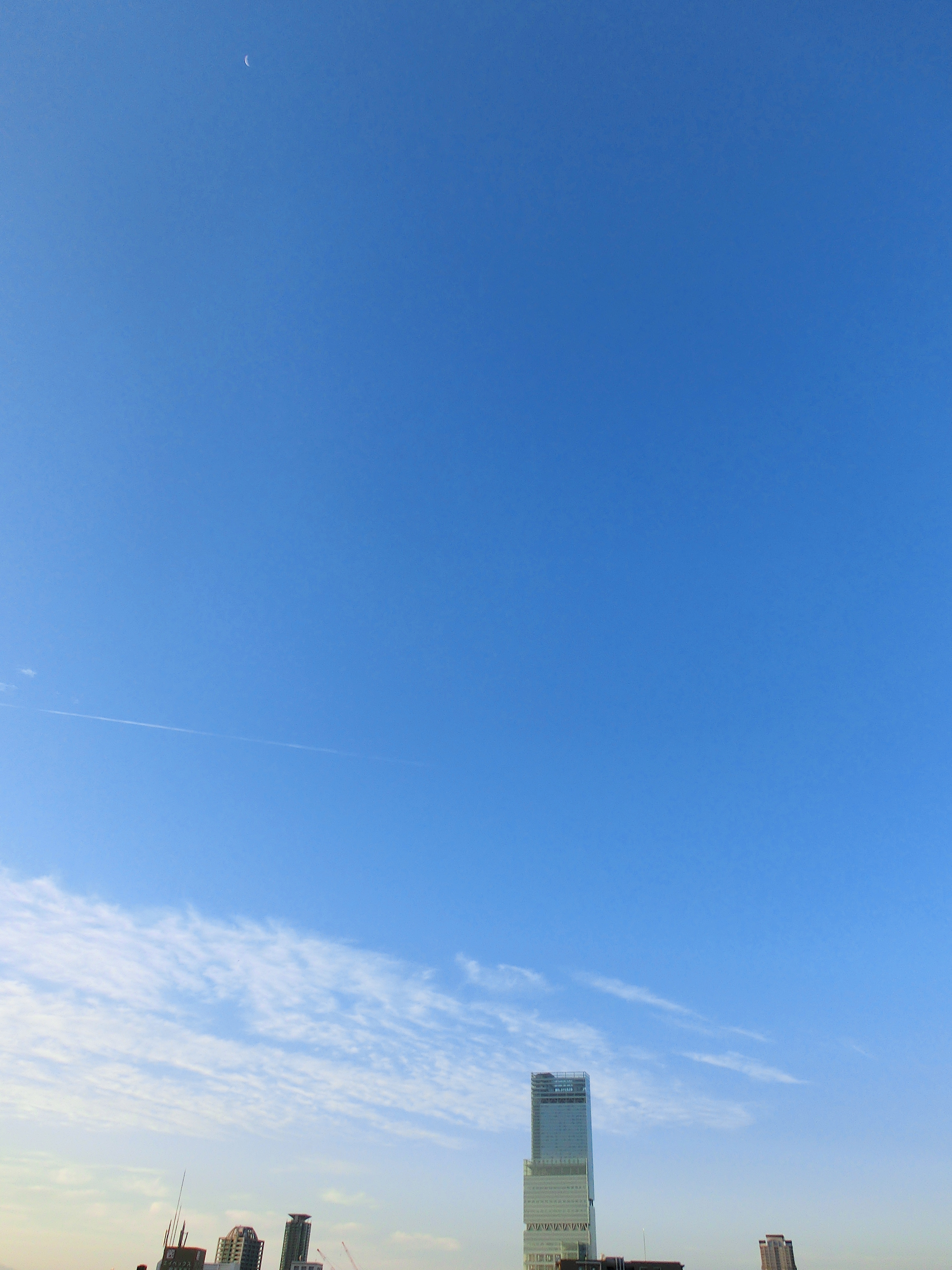 CIMG0241.jpg