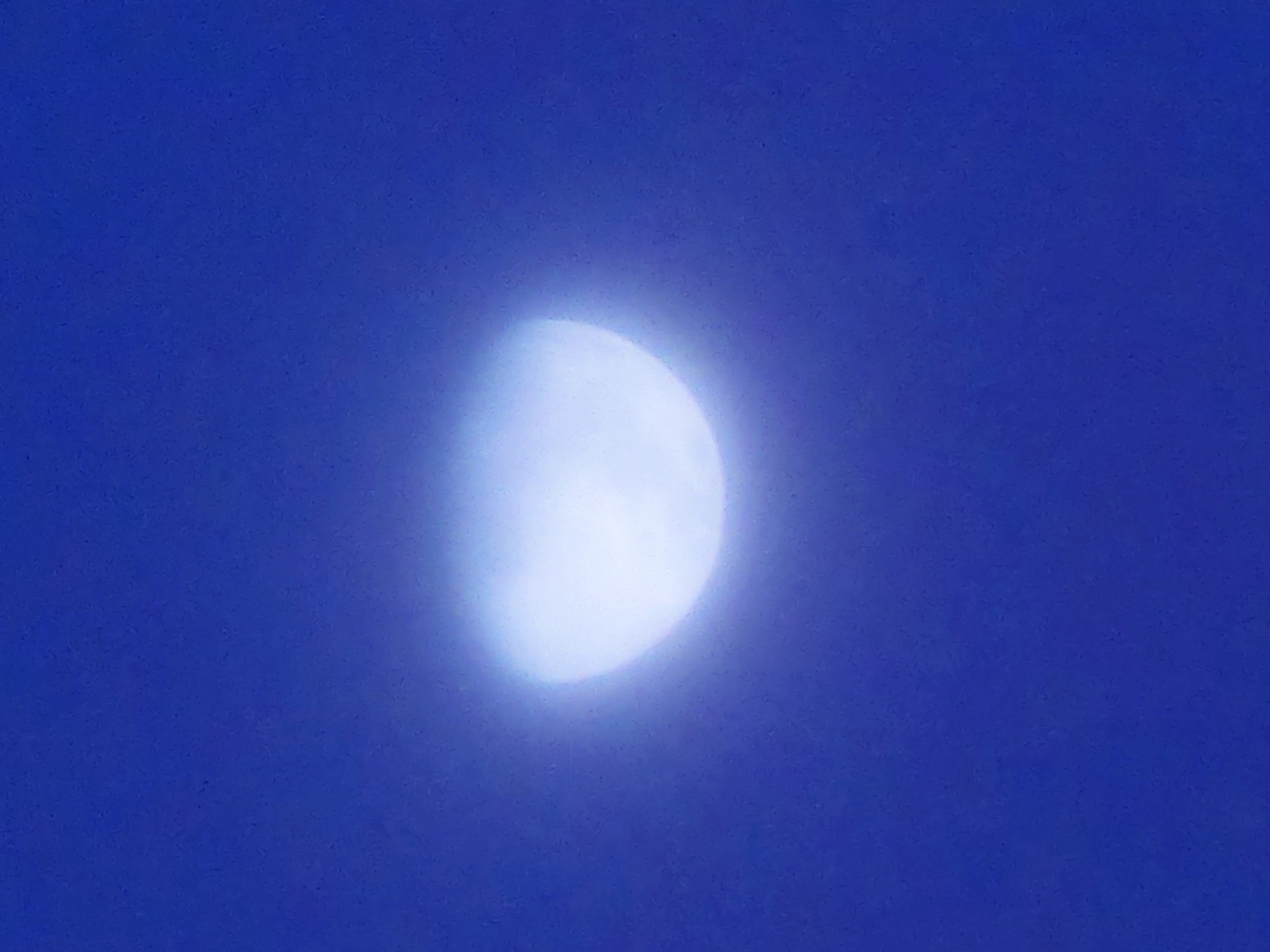 CIMG0346.jpg