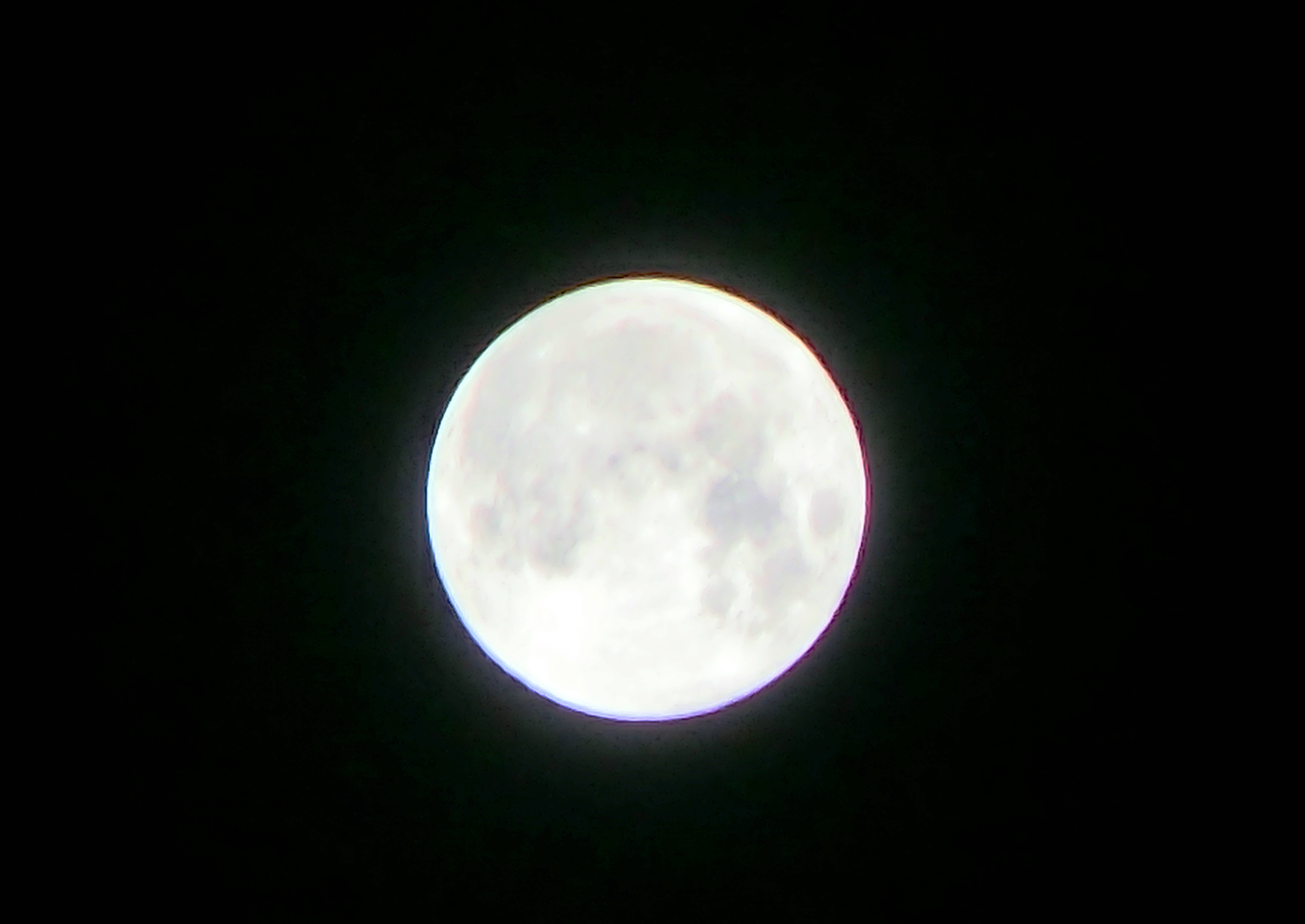 CIMG0443.jpg