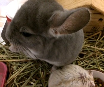 20140930e.jpg