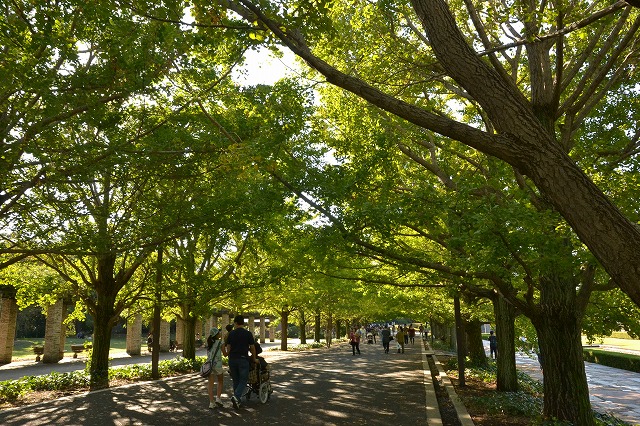 DSC_0053.jpg