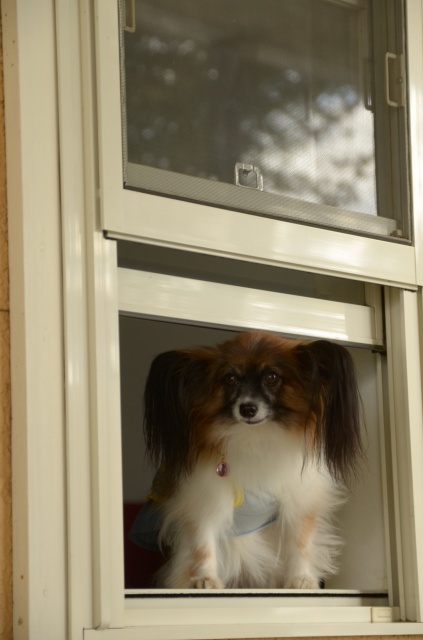 DSC_0161.jpg