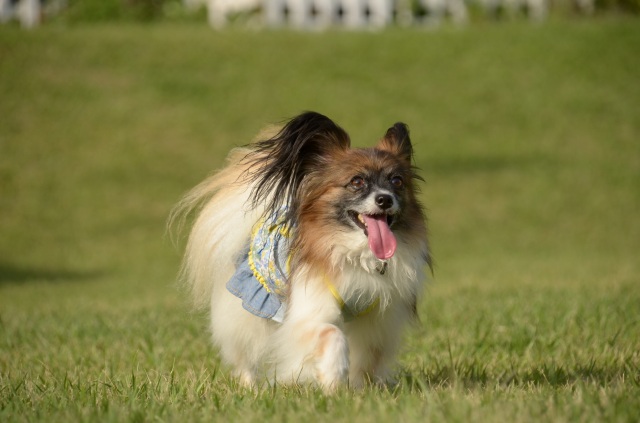 DSC_0542.jpg
