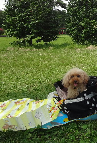 12_20130424213321.jpg