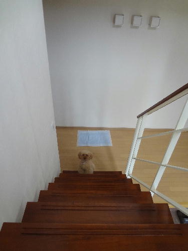 1_20130617235638.jpg