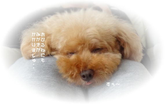 磨きが?