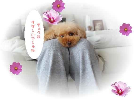 涼しい