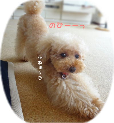 大あくび♪