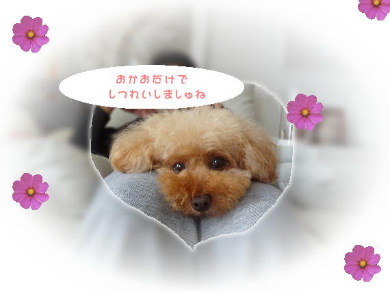 お顔