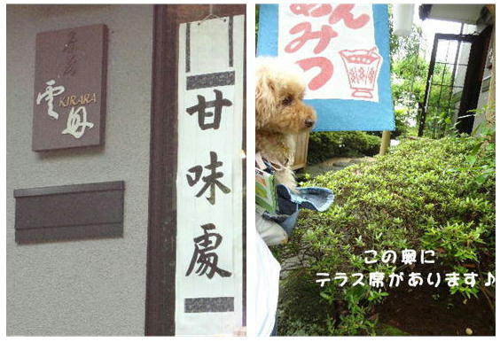 着いた