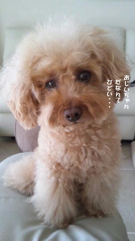 120224_1227~01.jpga