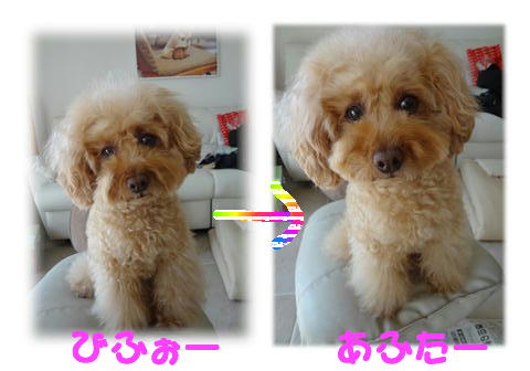 比べてみましょう