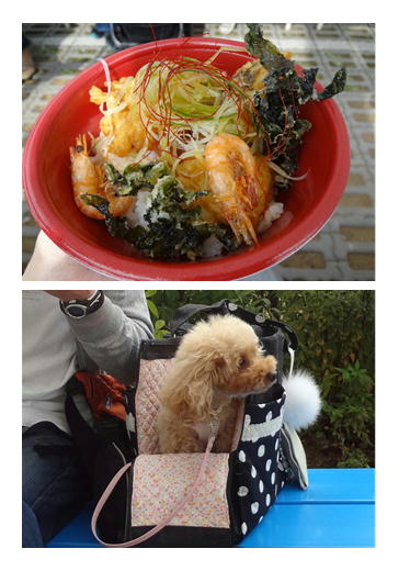 どんぶり♪