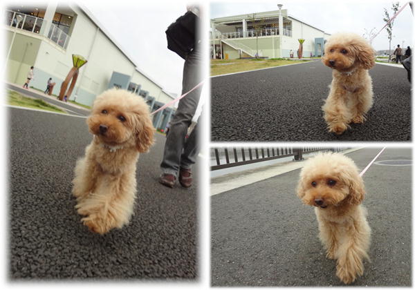 あるこ♪